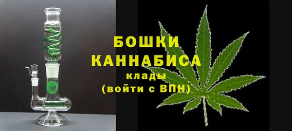 ПСИЛОЦИБИНОВЫЕ ГРИБЫ Балабаново