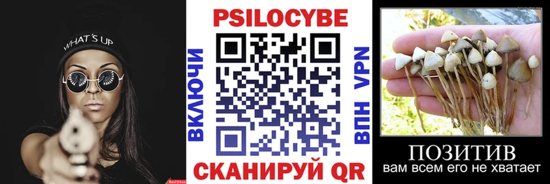 Псилоцибиновые грибы Psilocybine cubensis наркота kraken маркетплейс Калининец